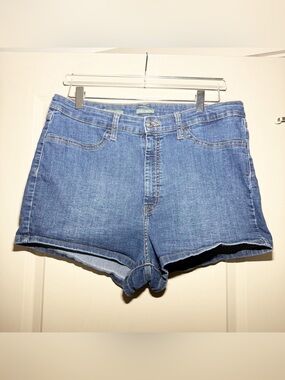 Wild Fable Blue Denim High-Rise Jean Shorts